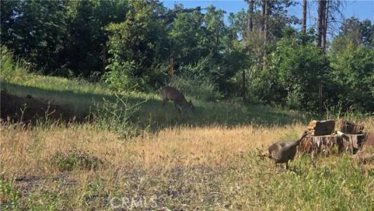 3810 Honey Run, Paradise, California 95969, Estados Unidos