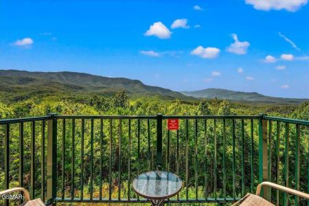 3710 Weber Rd B-203, Gatlinburg, 田納西州 37738, 美國