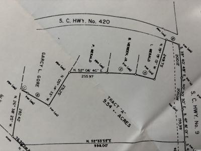 TBD E Highway 9 Bypass, Loris, ساوث كارولينا 29569, الولايات المتحدة