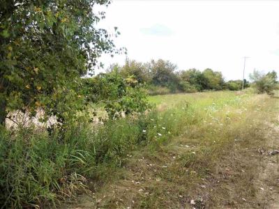 Parcel 3 Windmill, Imlay City, Michigan 48444, États-Unis