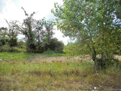 Parcel 3 Windmill, Imlay City, Michigan 48444, États-Unis