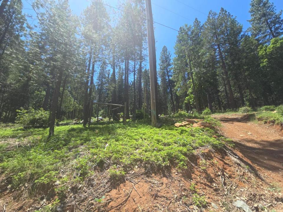 12181 Robust Way, Nevada City, Kaliforniya 95959, Amerika Birleşik Devletleri