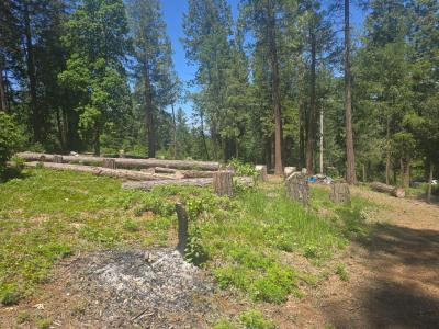 12181 Robust Way, Nevada City, Kaliforniya 95959, Amerika Birleşik Devletleri