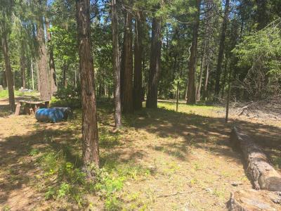 12181 Robust Way, Nevada City, Kaliforniya 95959, Amerika Birleşik Devletleri