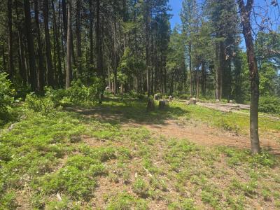 12181 Robust Way, Nevada City, Kaliforniya 95959, Amerika Birleşik Devletleri