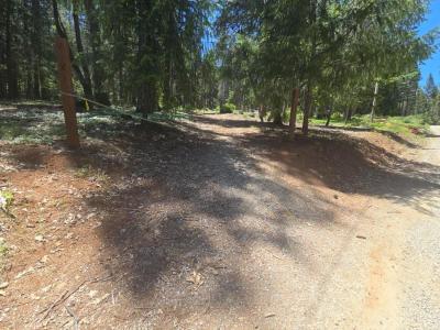 12181 Robust Way, Nevada City, Kaliforniya 95959, Amerika Birleşik Devletleri