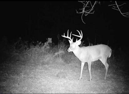 1407 Denton Phelps Road, Somerset, Kentucky 42501, Estados Unidos