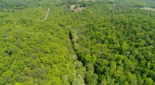 1407 Denton Phelps Road, Somerset, Kentucky 42501, Estados Unidos