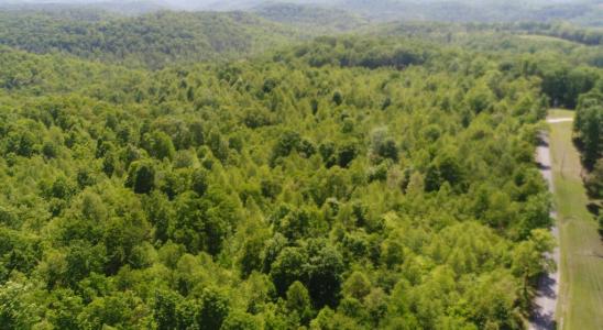 1407 Denton Phelps Road, Somerset, Kentucky 42501, Estados Unidos