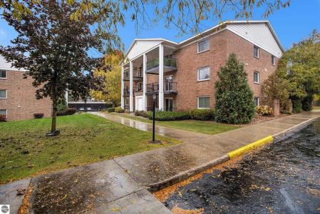 530 Georgetown , 46, Traverse City, Michigan 49684