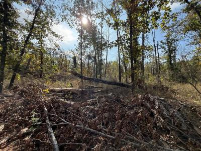 16 West Street, Noble, 오클라호마 73068, 미국