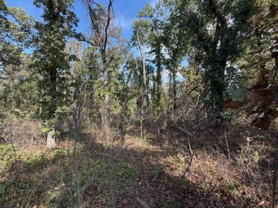 15 West Street, Noble, オクラホマ 73068, アメリカ合衆国