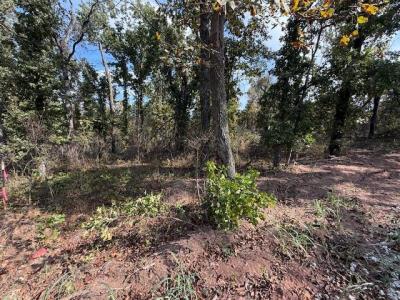 15 West Street, Noble, オクラホマ 73068, アメリカ合衆国