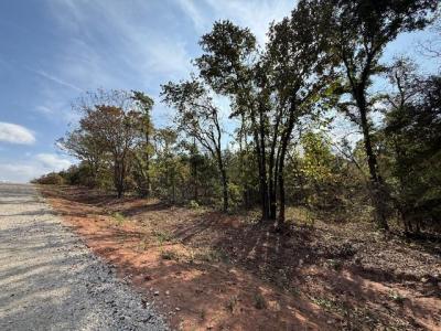 11 West Street, Noble, オクラホマ 73068, アメリカ合衆国