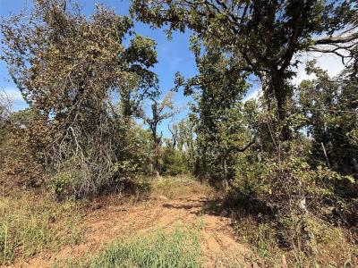 14 West Street, Noble, オクラホマ 73068, アメリカ合衆国