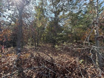 19 West Street, Noble, オクラホマ 73068, アメリカ合衆国