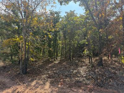 18 West Street, Noble, オクラホマ 73068, アメリカ合衆国