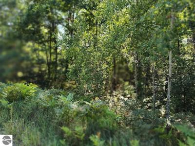 N Circle E, Farwell, Michigan 48622, Stati Uniti