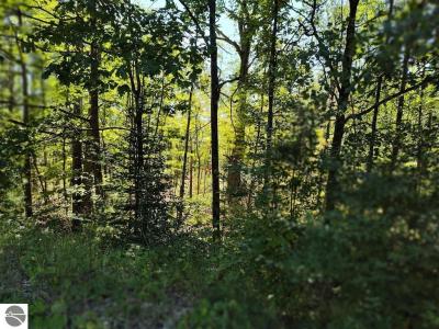 N Circle E, Farwell, Michigan 48622, Stati Uniti