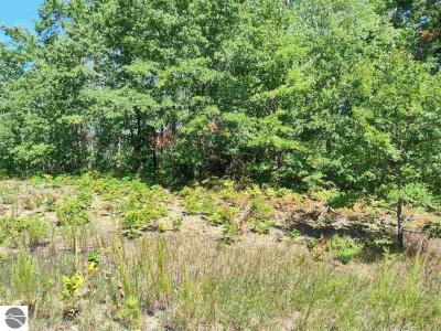 N Circle E, Farwell, Michigan 48622