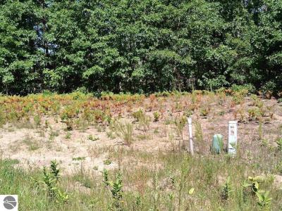 N Circle E, Farwell, Michigan 48622