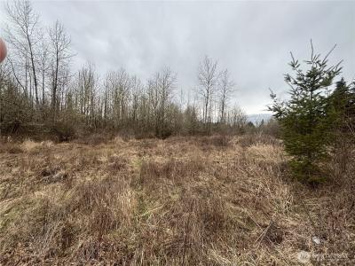 118 Grand Fir Lane, Toledo, Washington 98591