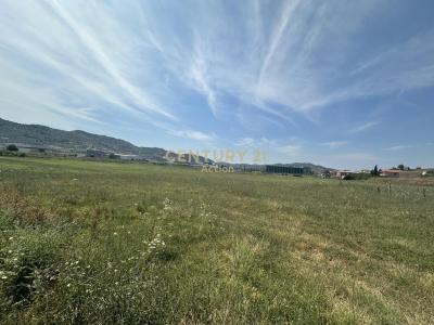 Vorë, Vorë, 알바니아