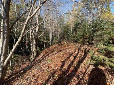 MOSHER ROAD, Conrod Settlement, Nova Scotia B0J 2L0, Canada