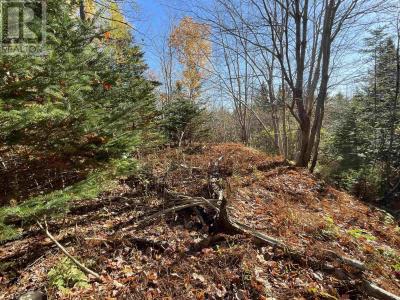 MOSHER ROAD, Conrod Settlement, Nuova Scozia B0J 2L0, Canada