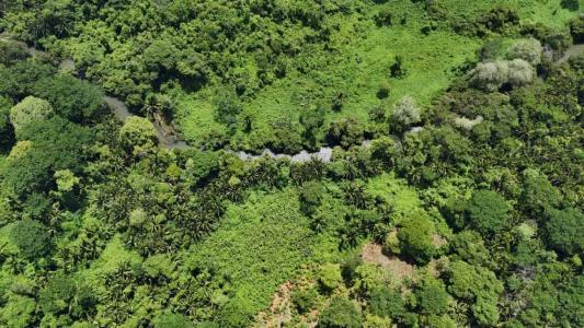 Big Falls, Toledo 00001, 貝里斯