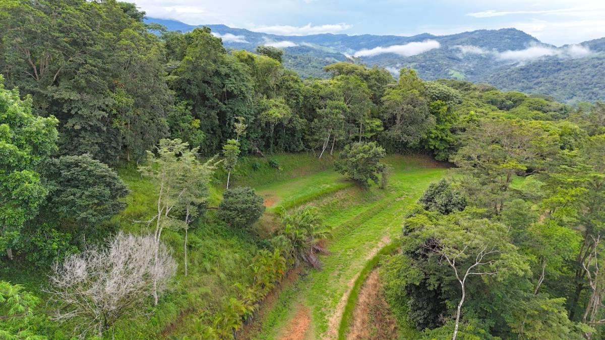 Platanillo Barú Pérez Zeledón, San José 11909, Costa Rica