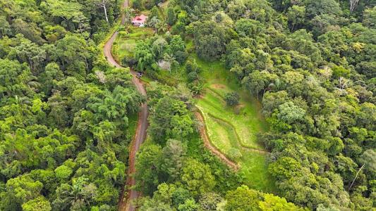 Platanillo Barú Pérez Zeledón, San José 11909, Costa Rica