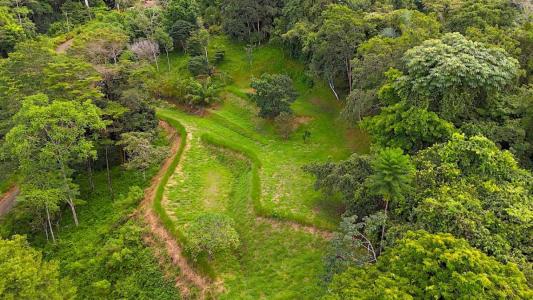 Platanillo Barú Pérez Zeledón, San José 11909, Costa Rica