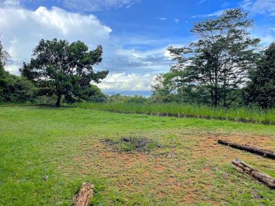 Platanillo Barú Pérez Zeledón, San José 11909, Costa Rica