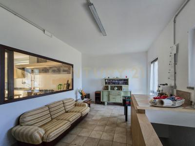 località le coste, Roccastrada, Toscana 58036, Italy