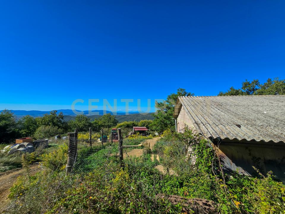 località le coste, Roccastrada, Toscana 58036, 義大利