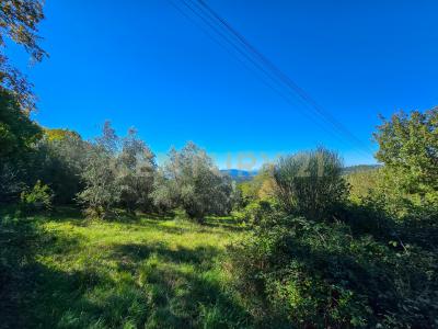 località le coste, Roccastrada, Toscana 58036, 義大利