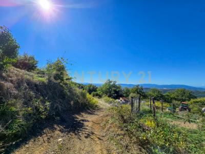 località le coste, Roccastrada, Toscana 58036, 義大利