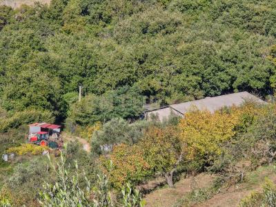 località le coste, Roccastrada, Toscana 58036, 義大利