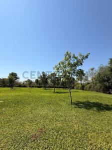 Surubi'i - Avenida Los Laureles , Mariano Roque Alonso, Central 00001, Paraguay