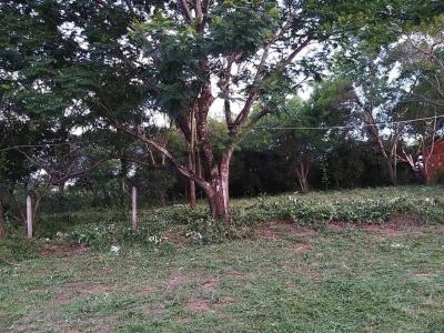 Salado - Limpio , Limpio, Central 00001, Paraguay