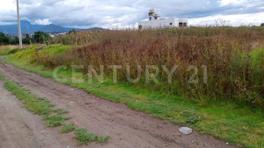 LIC CARLOS SALINAS DE GORTARI 42,, Tetla, Тласкала 90430, Мексика