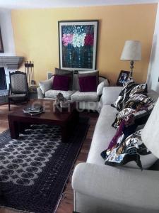 Rancho San  Francisco 109,, Alvaro Obregón, Ciudad De México 01807, México