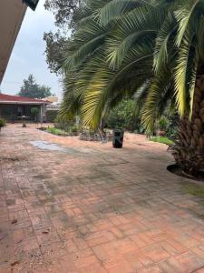 Avenida Picacho 241,, Alvaro Obregón, Ciudad De México 01900, Mexico