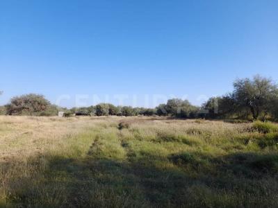 Soledad De Graciano Sánchez, San Luis Potosi 78438, México