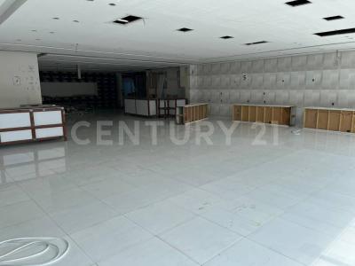 Miguel Hidalgo, Ciudad De México 11000, Mexico