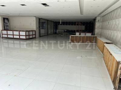 Miguel Hidalgo, Ciudad De México 11000, Mexico