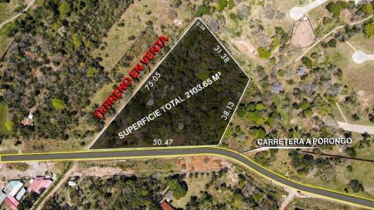 Los Batos , Urubo, Santa Cruz 00001, 玻利维亚