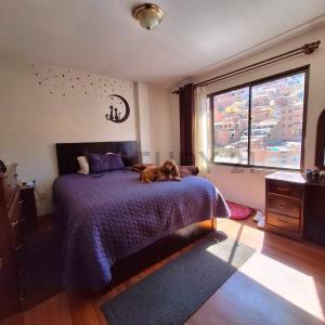 CALLE CALAMA ESQUINA GENARO SANJINEZ 1562, La Paz, La Paz NN, Bolivia