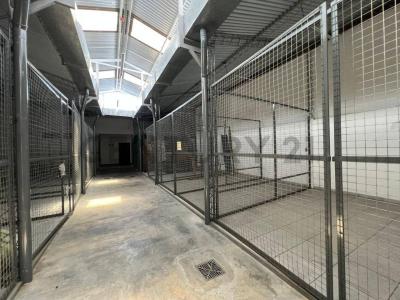 Oeste, Santa Cruz 00001, Bolivia